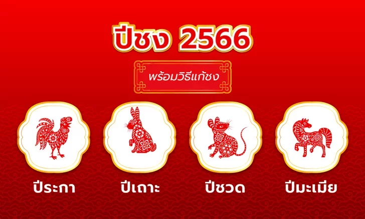 ปีชง 2566 ปีเถาะ มีปีไหนชงบ้าง พร้อมวิธีแก้ปีชง